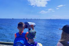IMG_20260526_111835