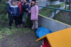 IMG_8191