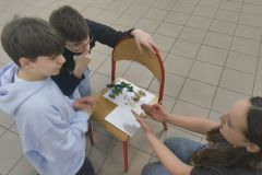 IMG_20250321_091152952