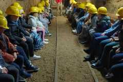 IMG-20251102-WA0007