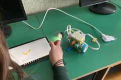 IMG_2613