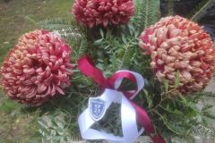 IMG_20241030_145607