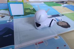 IMG_20260302_083343