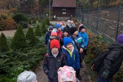 Ogrod-Zoobotaniczny-w-Toruniu-12