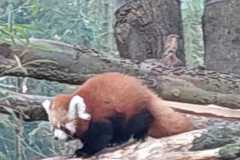 Ogrod-Zoobotaniczny-w-Toruniu-3