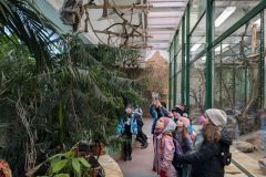 Ogrod-Zoobotaniczny-w-Toruniu-7