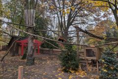 Ogrod-Zoobotaniczny-w-Toruniu-9